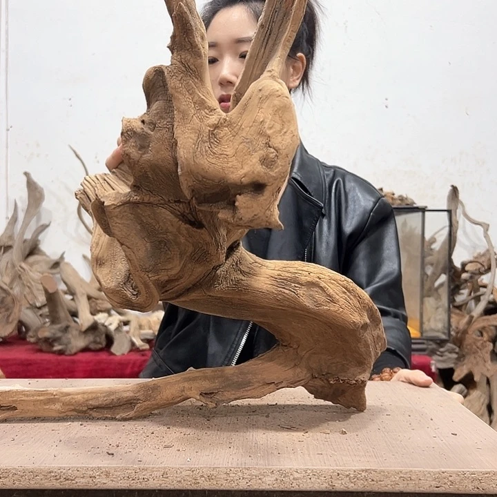 柏木最***.我们都是好孩子啊