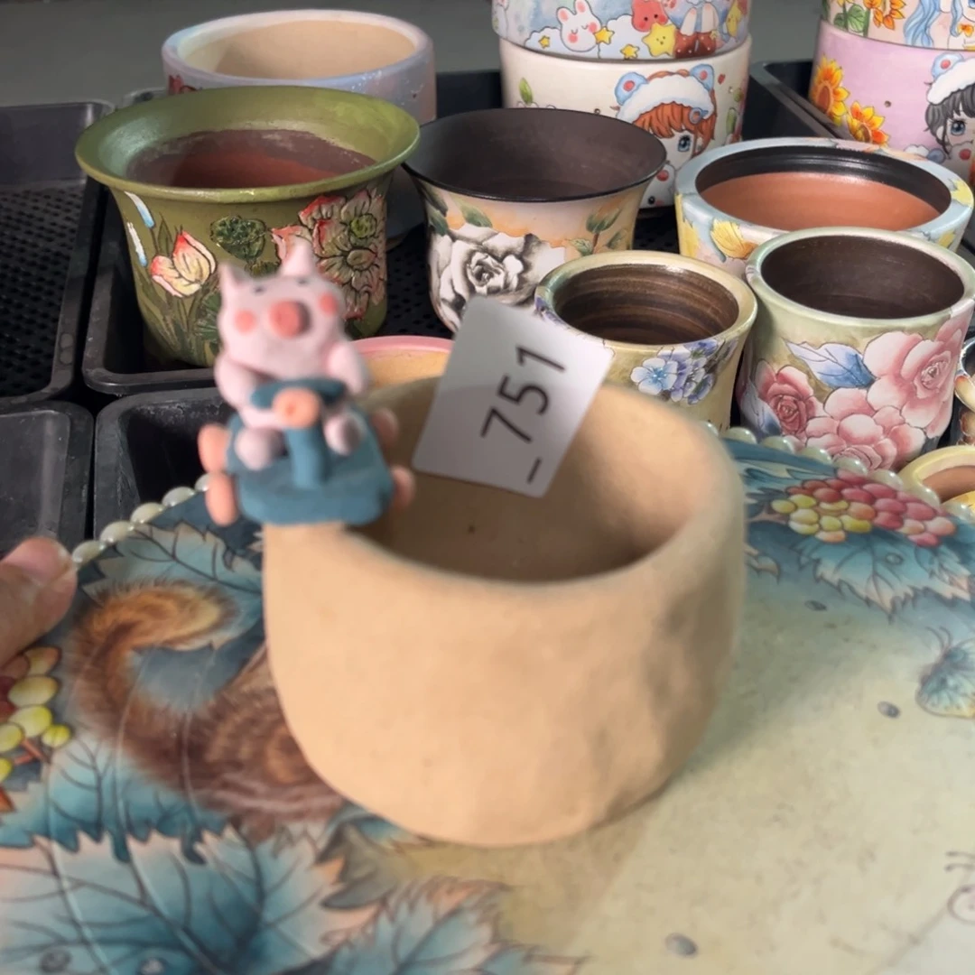 751多肉花盆   1个