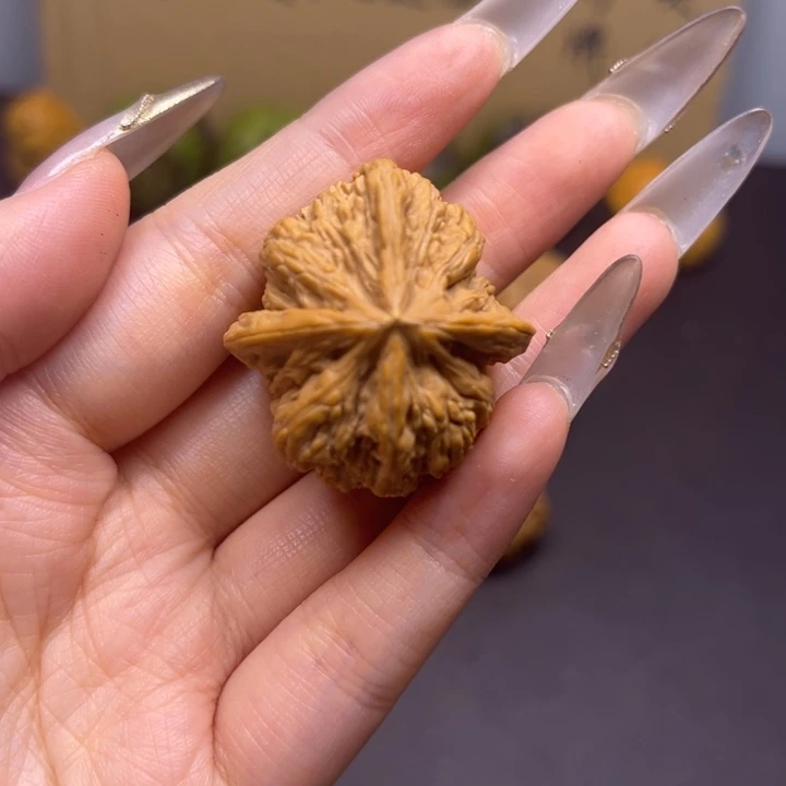 杭***包菩提籽类密文四棱单只