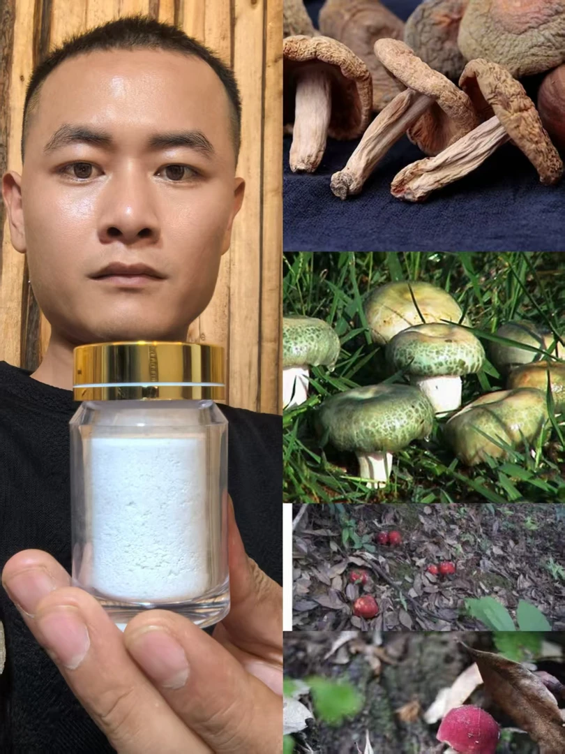 【土特产菌A9＼蘭天加杰】重量60g