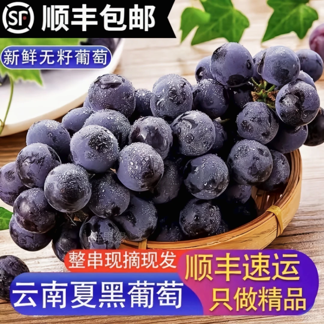 顺丰云南夏黑无籽葡萄水果无核现摘现发当季孕妇儿童新鲜大果无籽