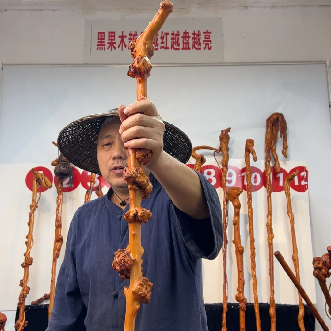 其他黑果木黑果木375