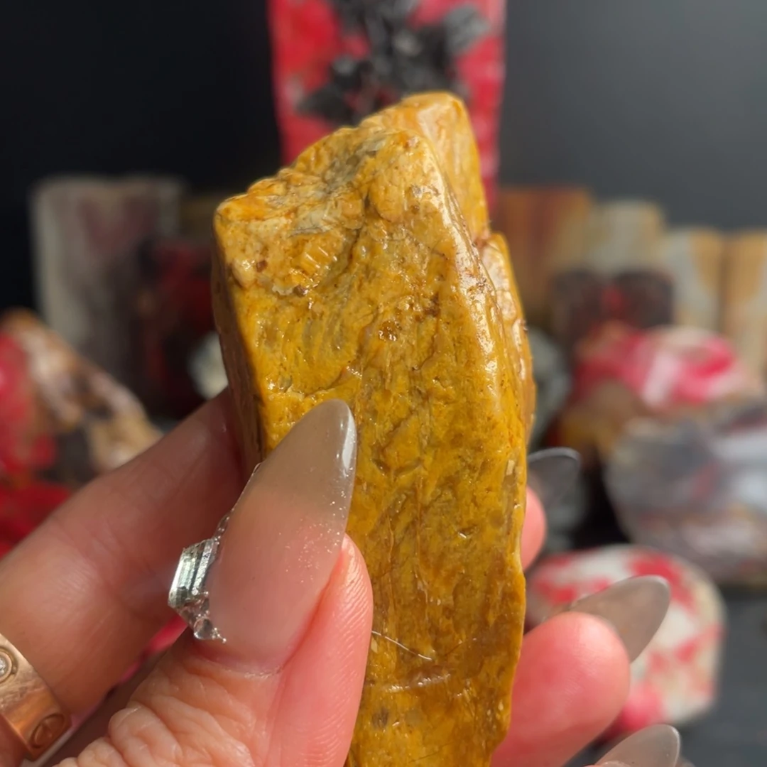 田黄石盛**缘昌化田黄原石