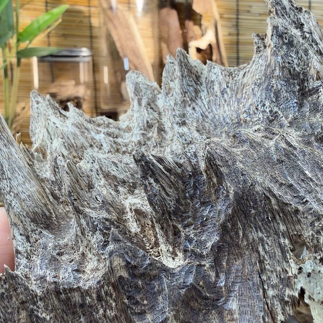 沉香沉香碎屑沉香吊齿40g