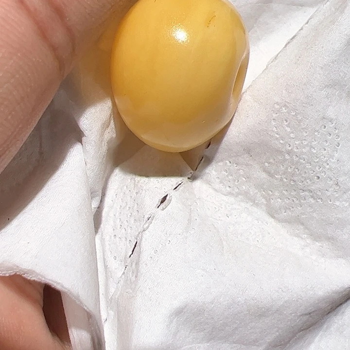 香榧木鑫****鸠在家了一个小时