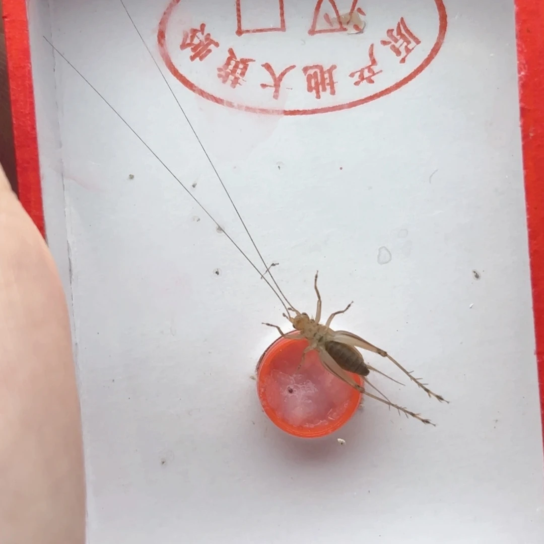 哈哈哈哈哈哈哈哈哈哈哈