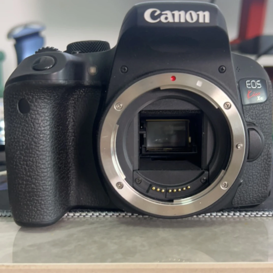 准新品 佳能 单机身相机x9i 800D