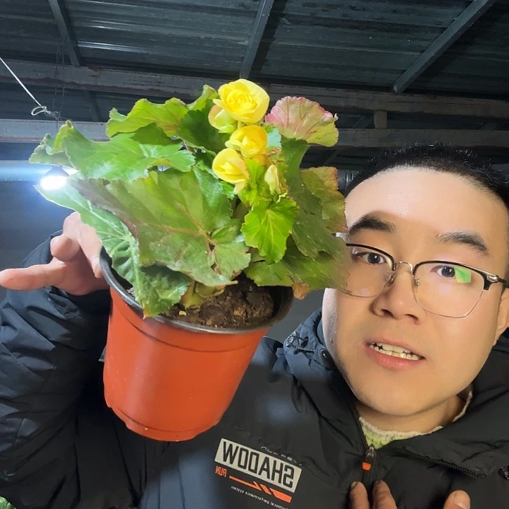 幸***。完全开放黄色➕保温