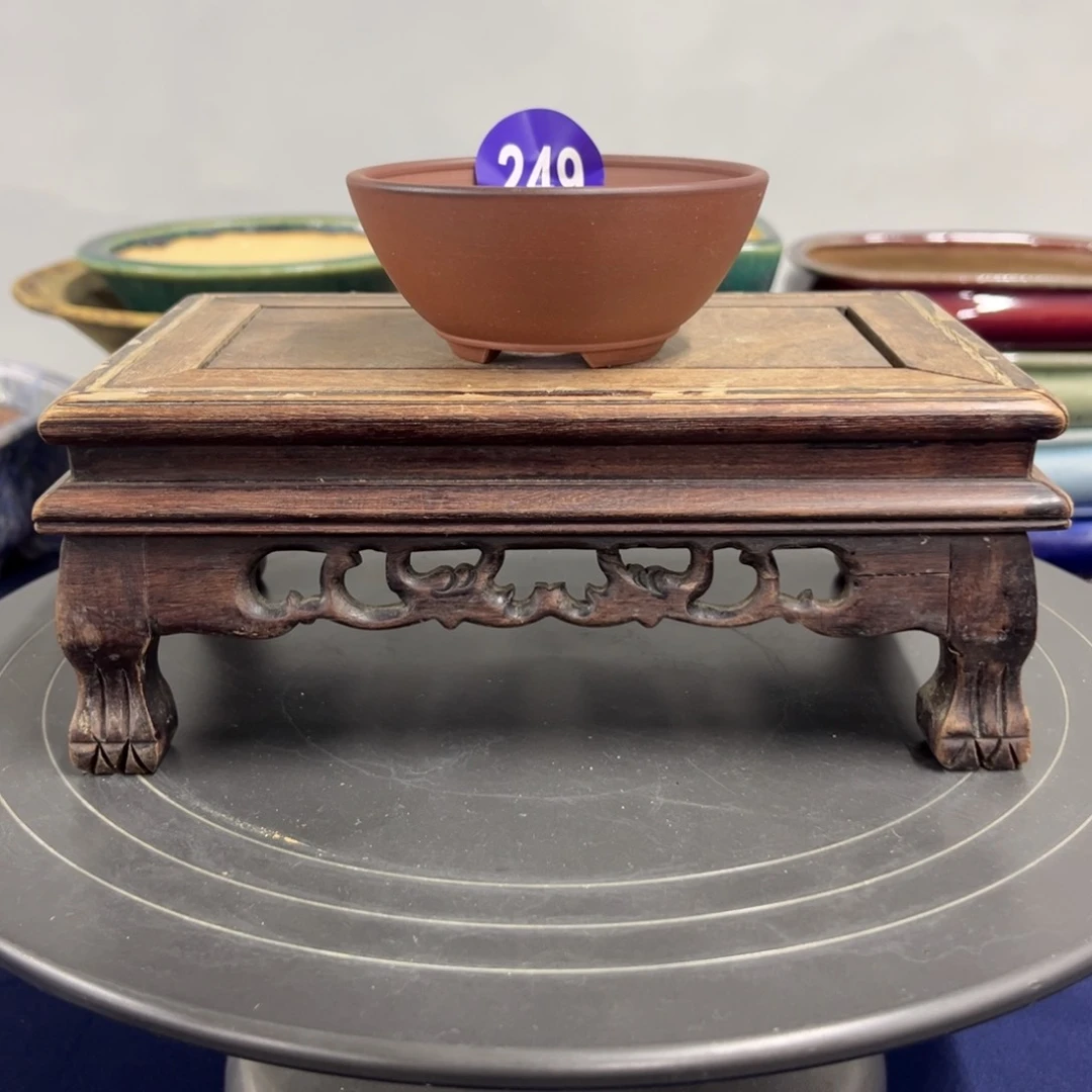 红陶哈****?新年快乐啊249