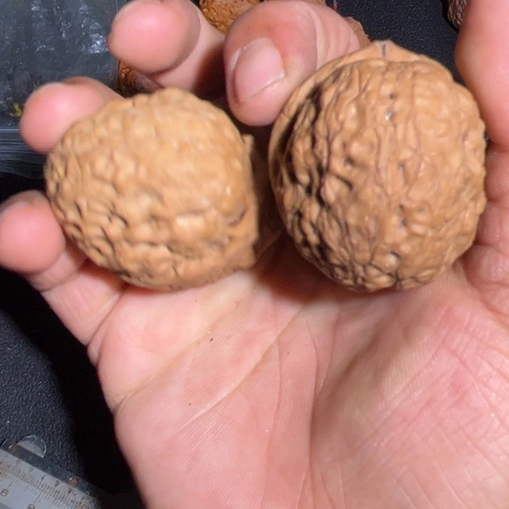 吊坠文玩核桃滇西19