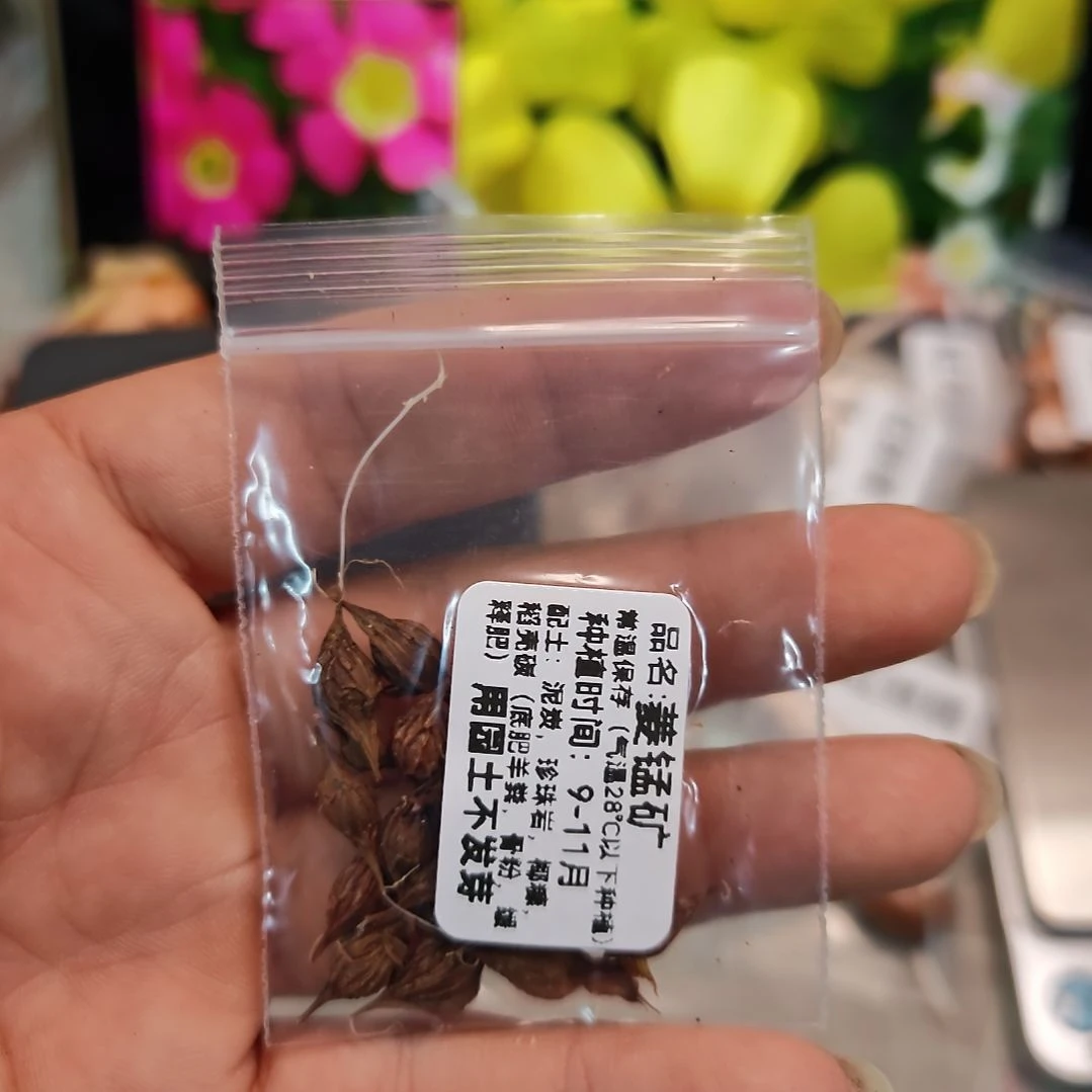 酢浆草晚花菱锰矿一份