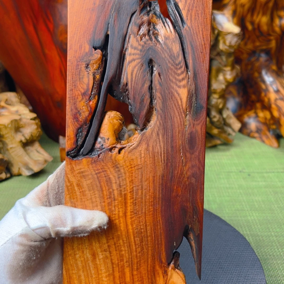 大果紫檀（缅甸花梨）?****?