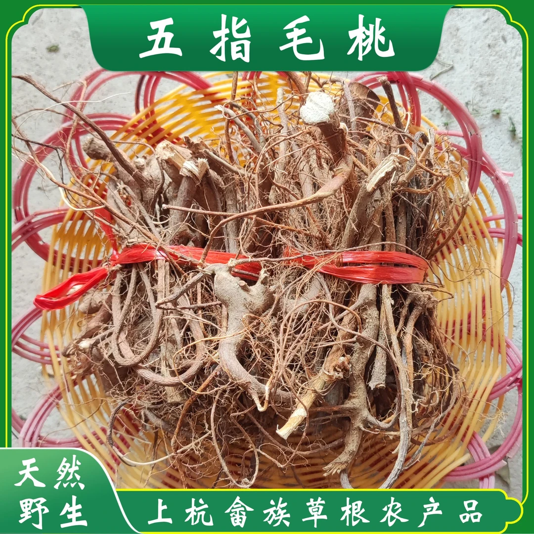 野生干五指毛桃 畲族农产品 野生现挖 蒸汤煮水