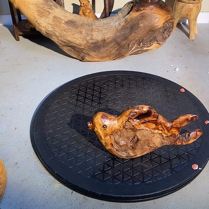 香榧木成**安太行崖柏陈化