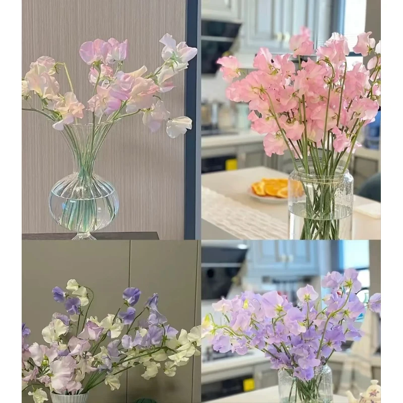 香豌豆（可和花束拼单，拼单升级顺丰）