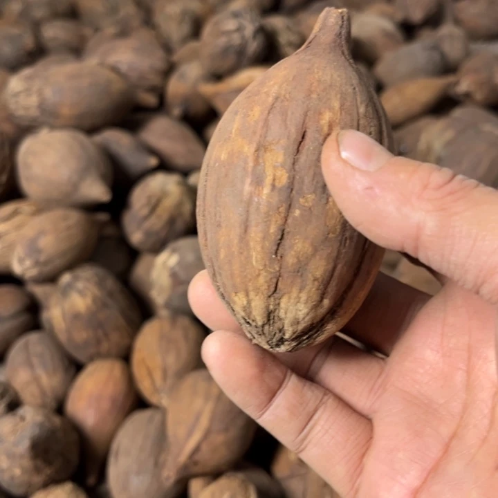 千眼菩提吊坠千眼菩提 83 号。