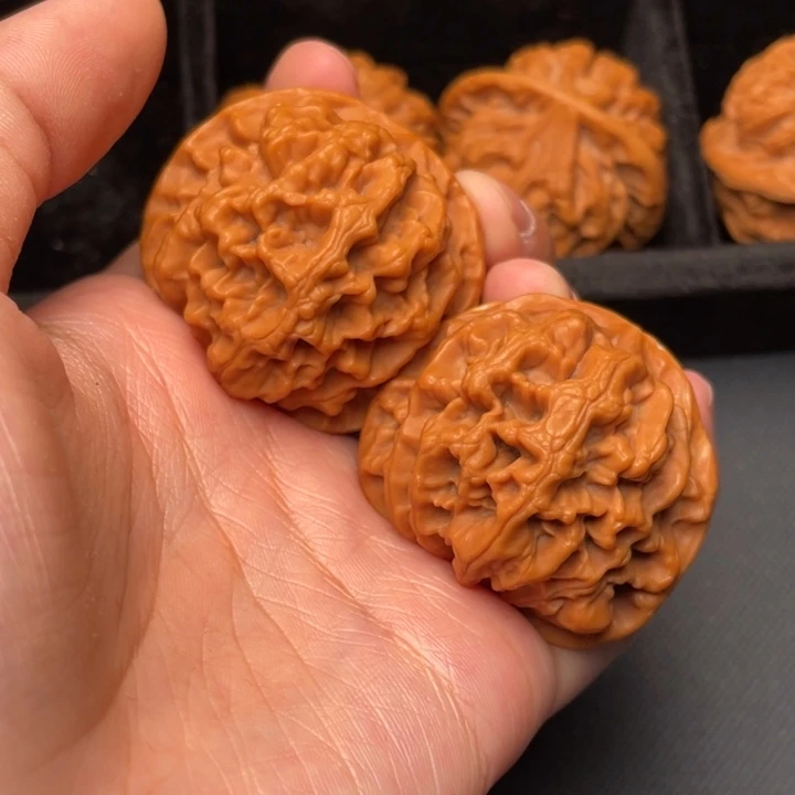 秦岭野生核桃文玩