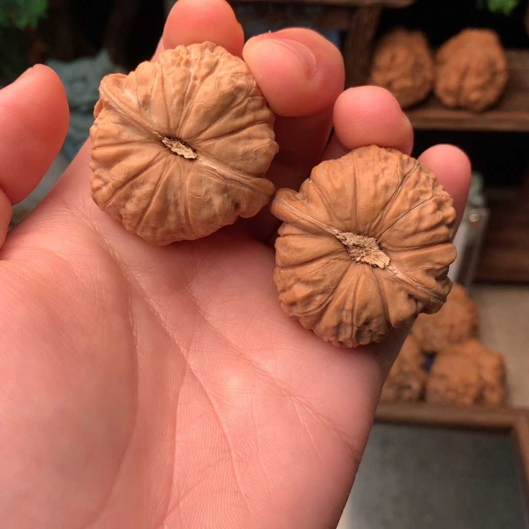 核桃42尺寸南瓜墩