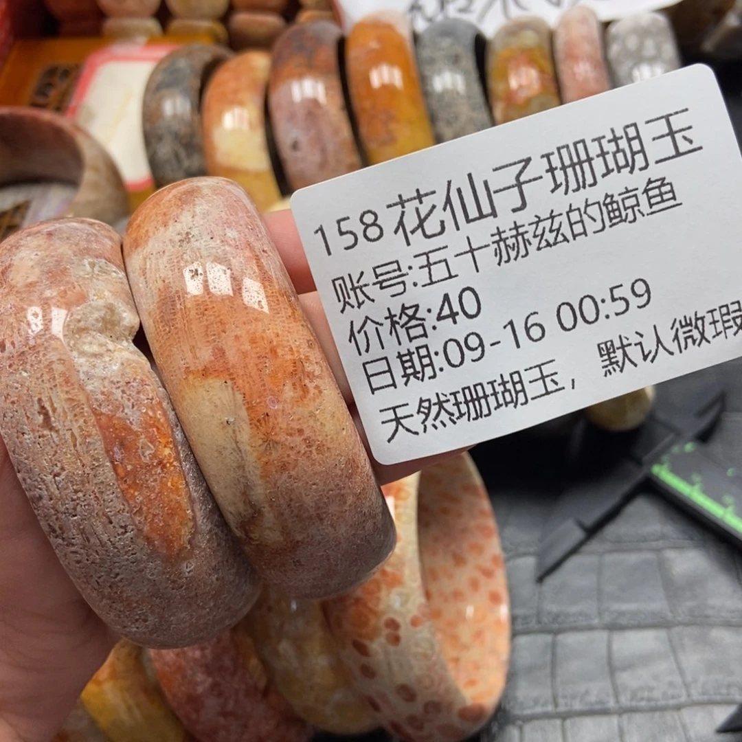 五***鱼未镶嵌硅化珊瑚（珊瑚玉）珠宝半成品158