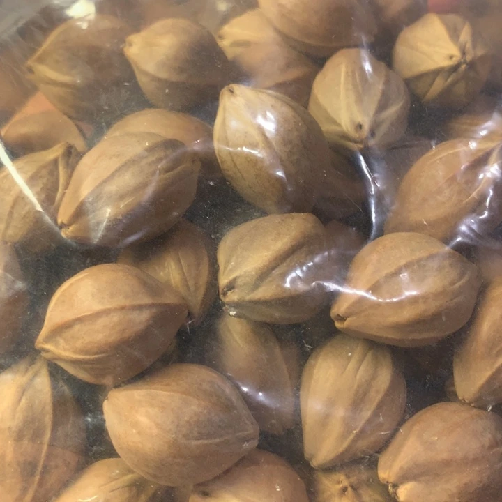 ****️橄榄核手串/手链广东梅林四花铁核