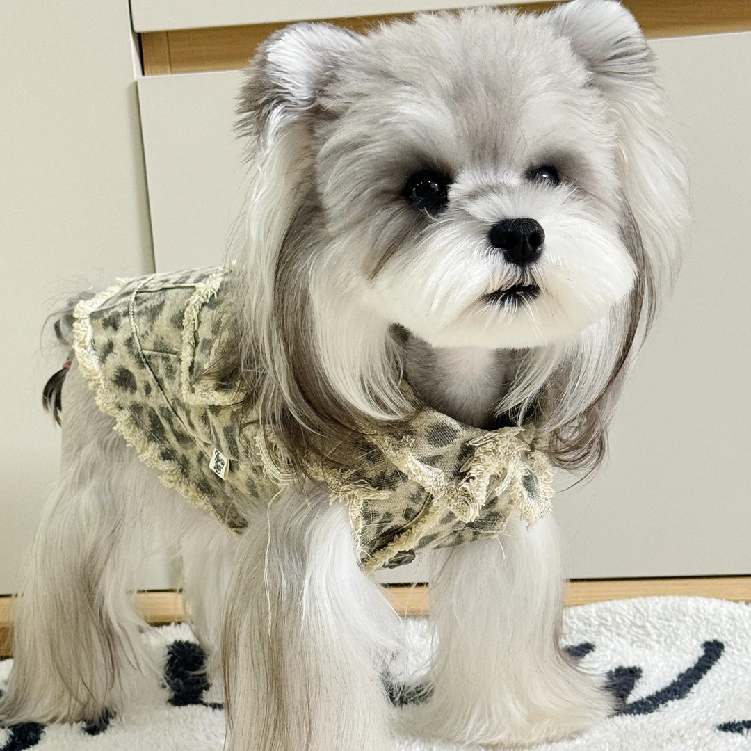 四季适用无袖牛仔宠物狗衬衫适合西高地柴犬金毛等幼犬