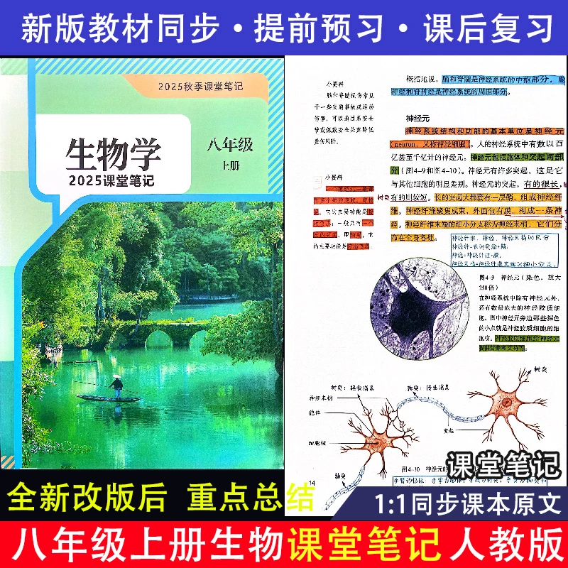 新版生物学课堂笔记8八年级上册下册学校同步初二小四门笔记批注