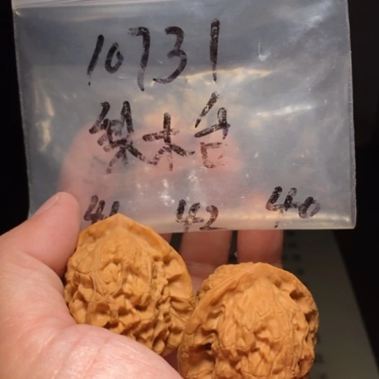 用***3吊坠文玩核桃文玩核桃把件