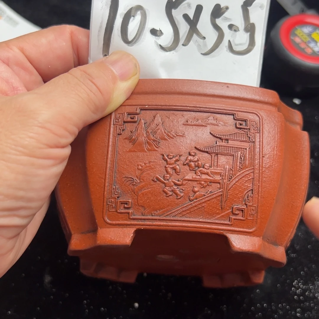 wwwww鹅鹅鹅鹅鹅鹅