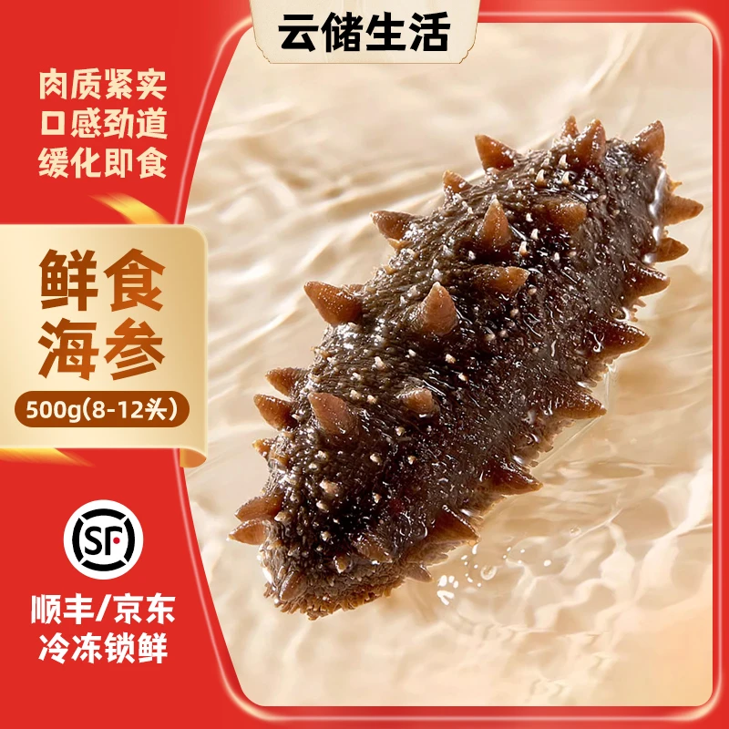 即食海参500g/袋（约8-12头/斤） 底播刺参鲜食品质免泡发