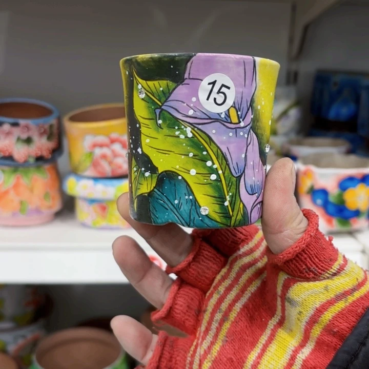 红陶李****_内口具一对大