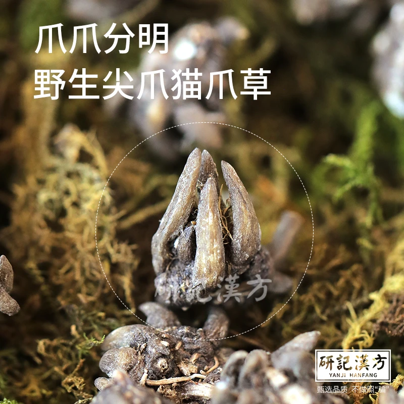 猫爪草正品猫抓草500g中药材搭夏枯草蒲公英散郁金结四物汤节