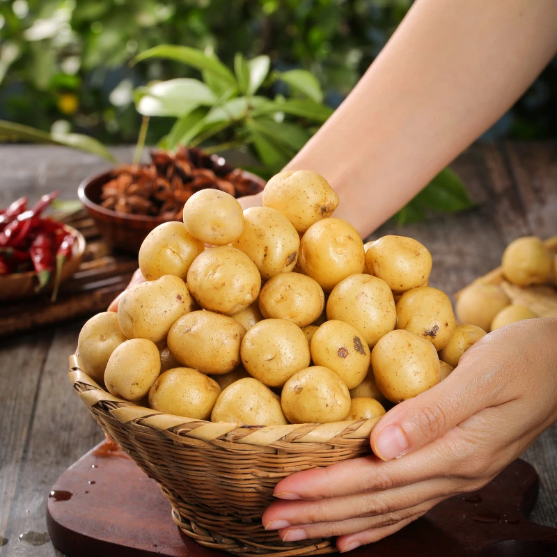湖北恩施黄心小土豆新鲜土豆3/5/9斤当季蔬菜马铃薯洋芋
