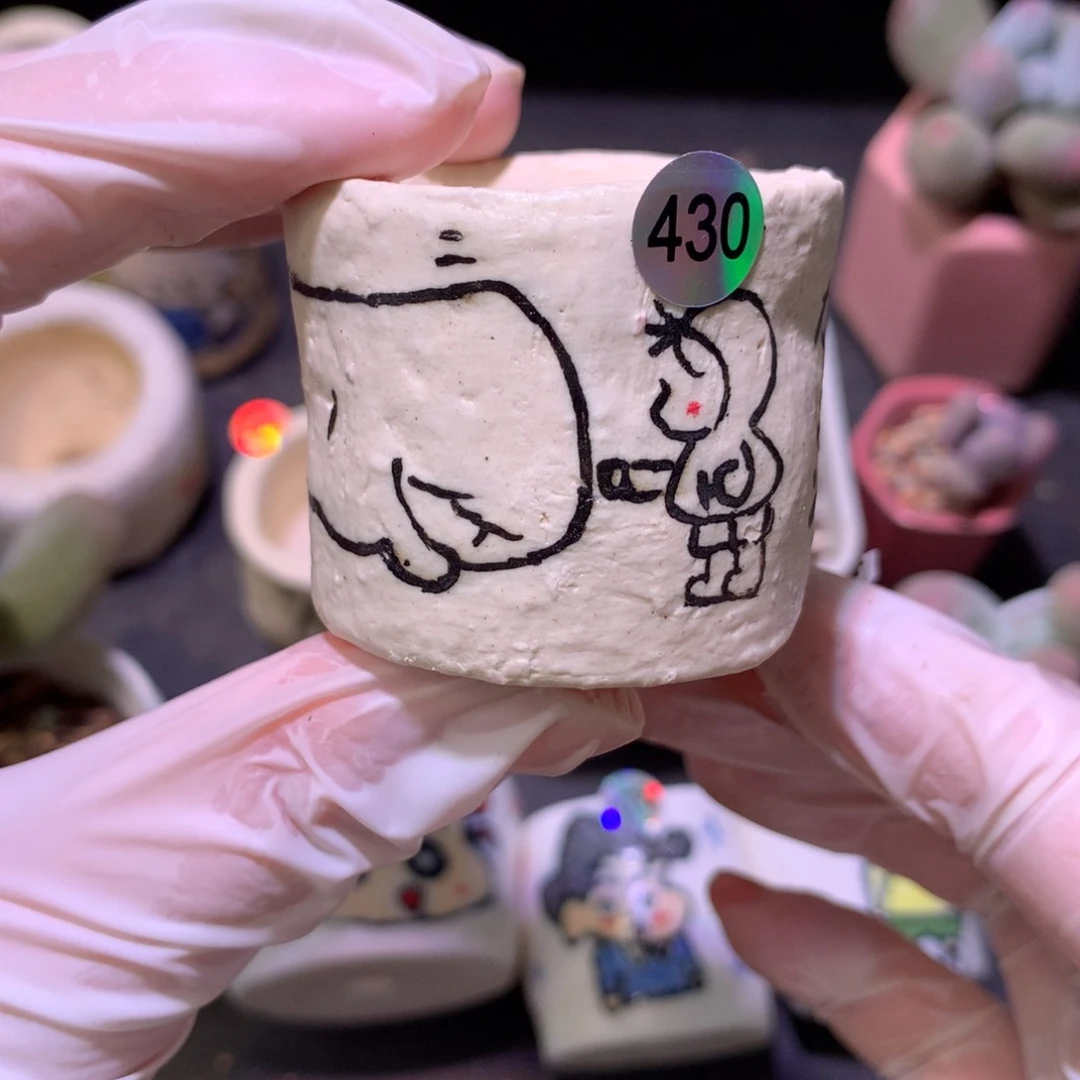 花盆哈哈哈哈哈哈哈哈哈哈哈哈430