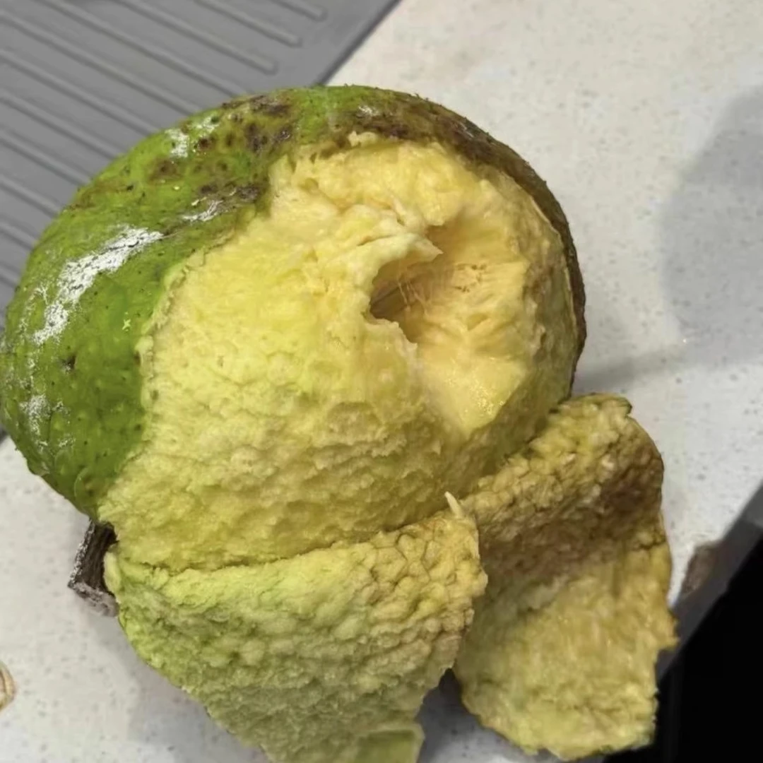 顺丰包邮海南面包果新鲜高山采摘稀有当季热带水果