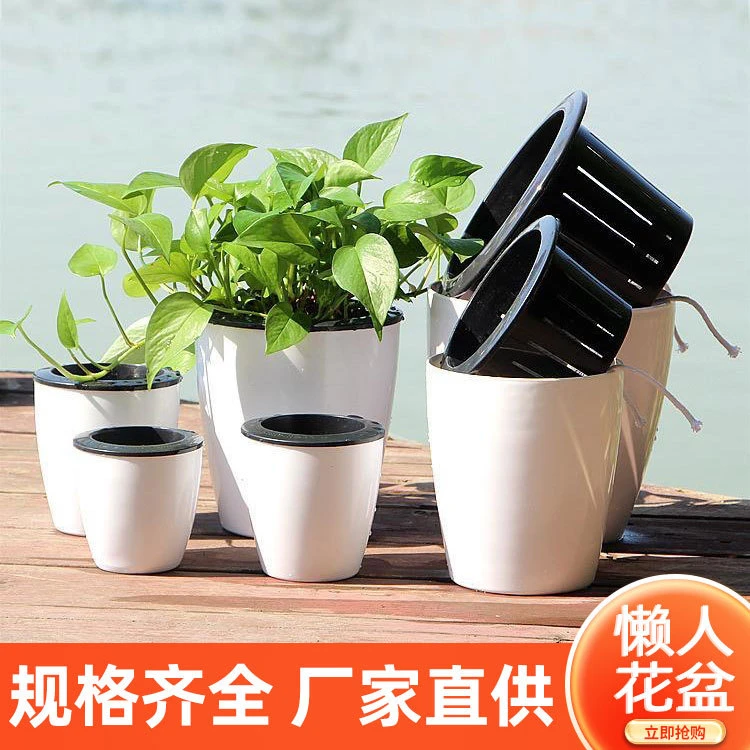 懒人花盆自动吸水绿萝花盆储水盆水培盆栽免浇水塑料仿陶瓷圆形盆