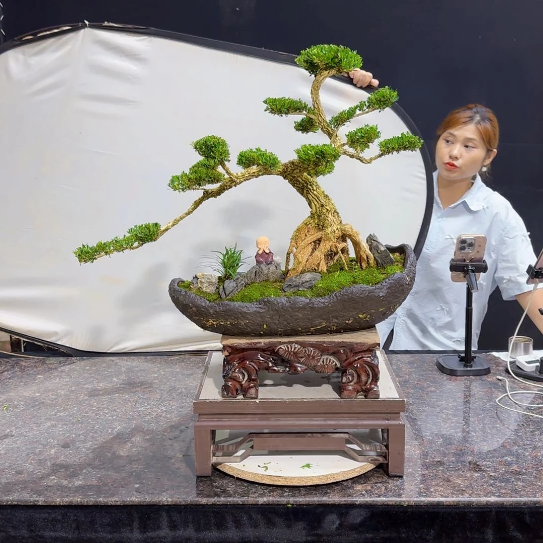 当前无花朵，栽培后可花朵