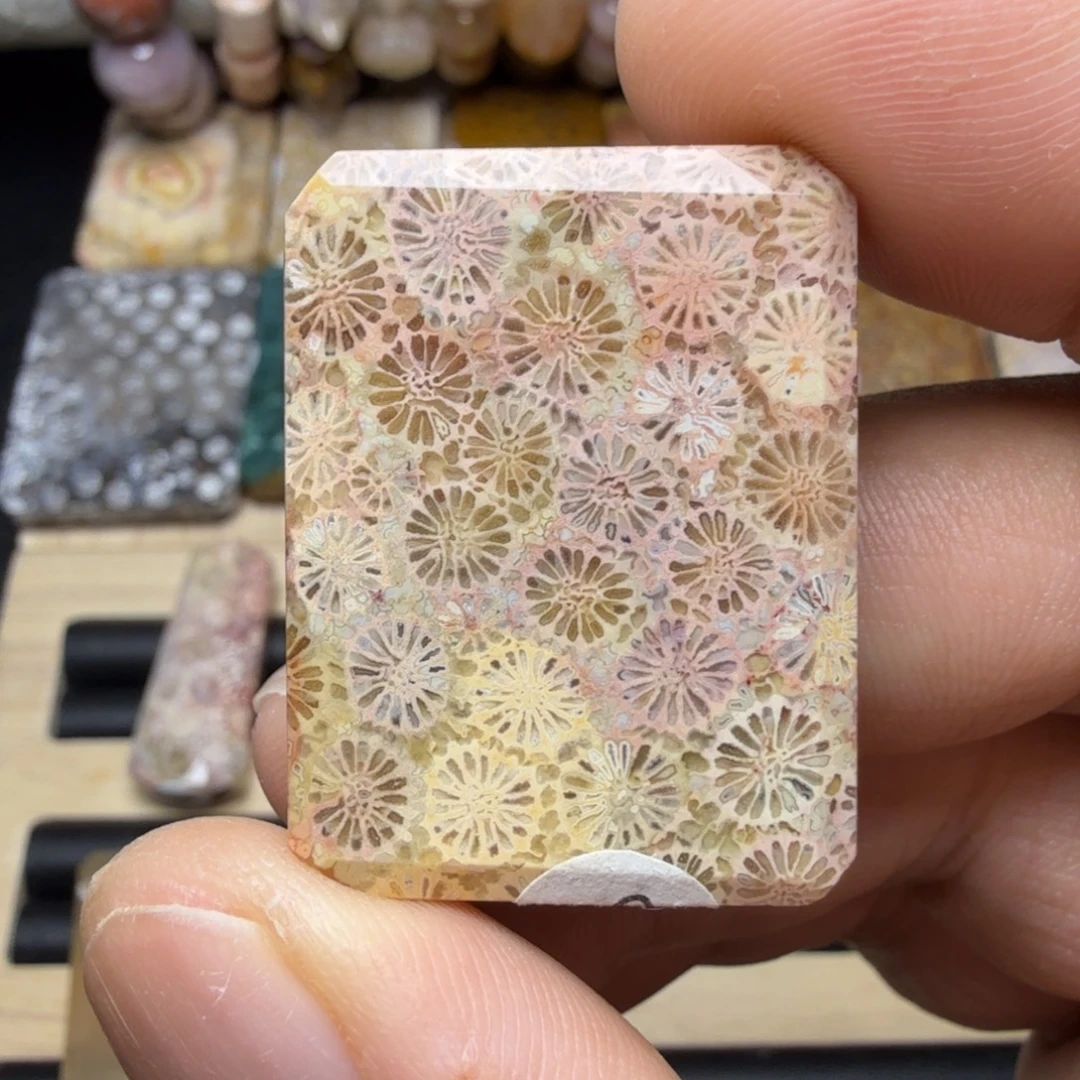 硅化玉未镶嵌纯天然色有机玉石保真色