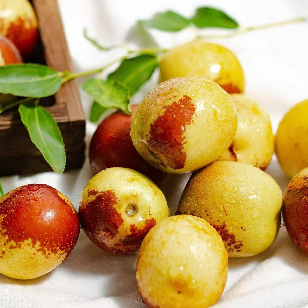 【喜柿】陕西大荔冬枣脆甜新鲜应季休闲水果现摘现发