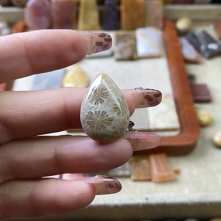 硅化珊瑚（珊瑚玉）未镶嵌颈饰