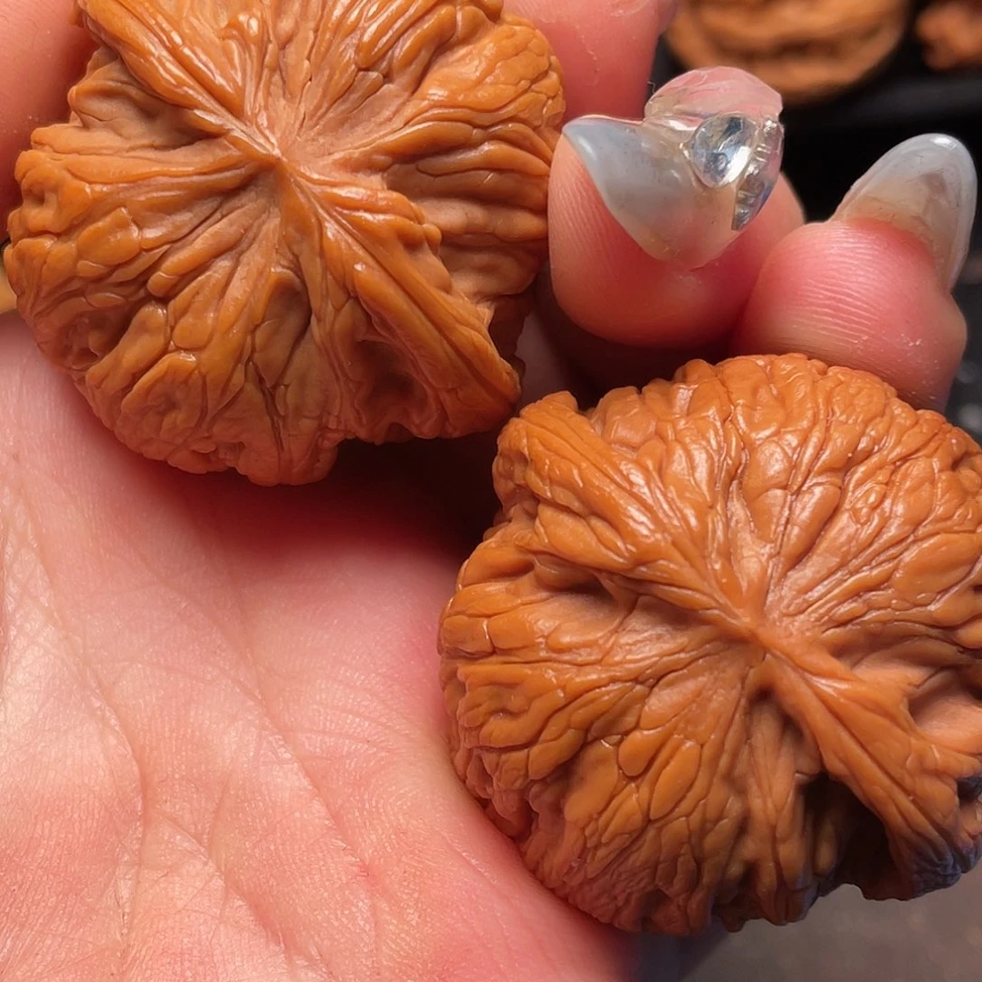 文玩核桃把件秦岭山脉核桃