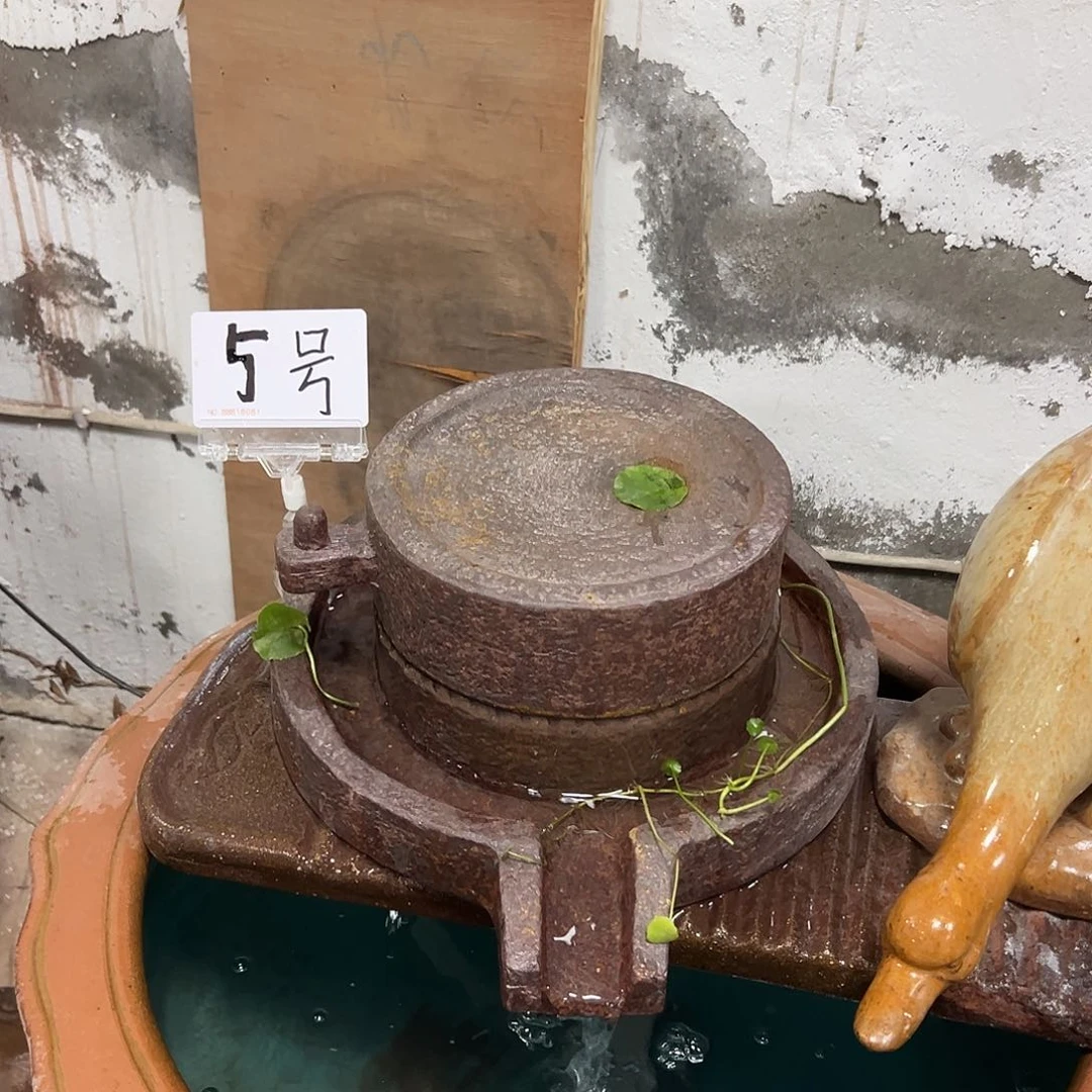 红陶紫砂等工艺美术的艺术