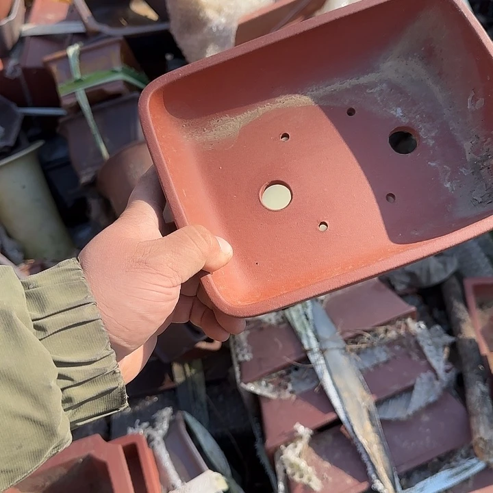 是一个不知名作家与著名导演兼电影演员们之间互相竞争