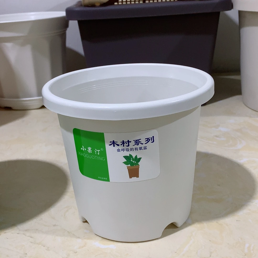 树脂四季口15白10个无托