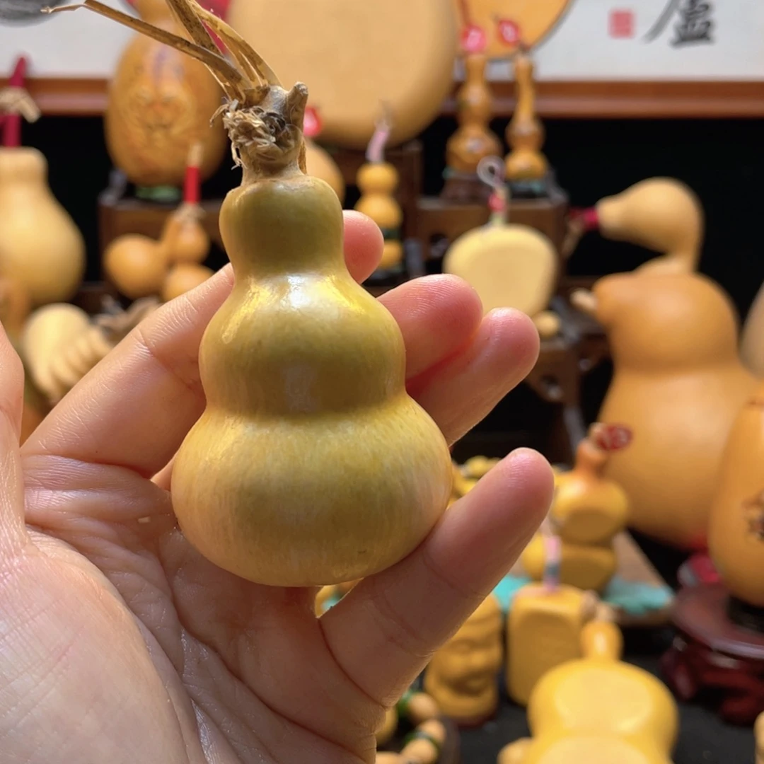 小**京大自然的秘密是什么啊