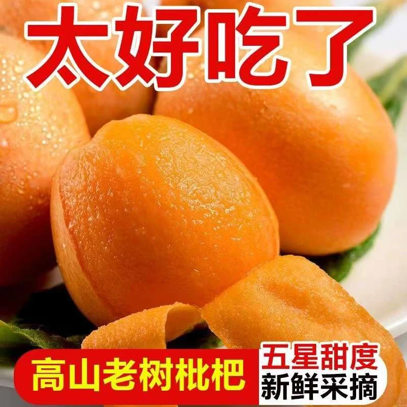【坏果包赔】四川大凉山五星大枇杷现摘皮薄多汁孕妇新鲜水果