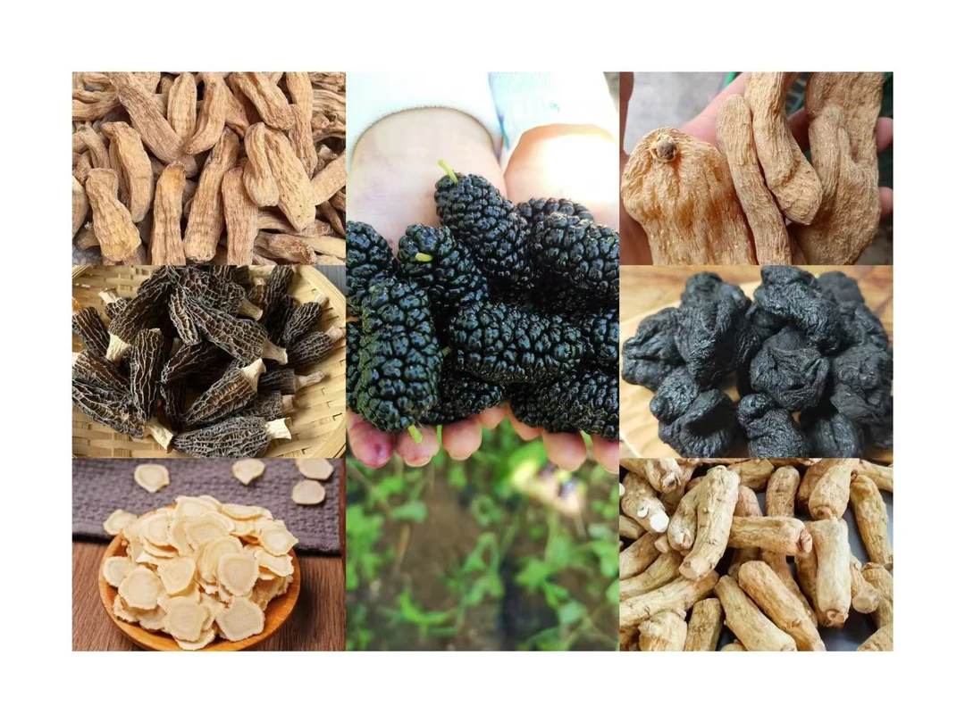 【久添滋味】滇缅山货  桑椹【代拍链接】