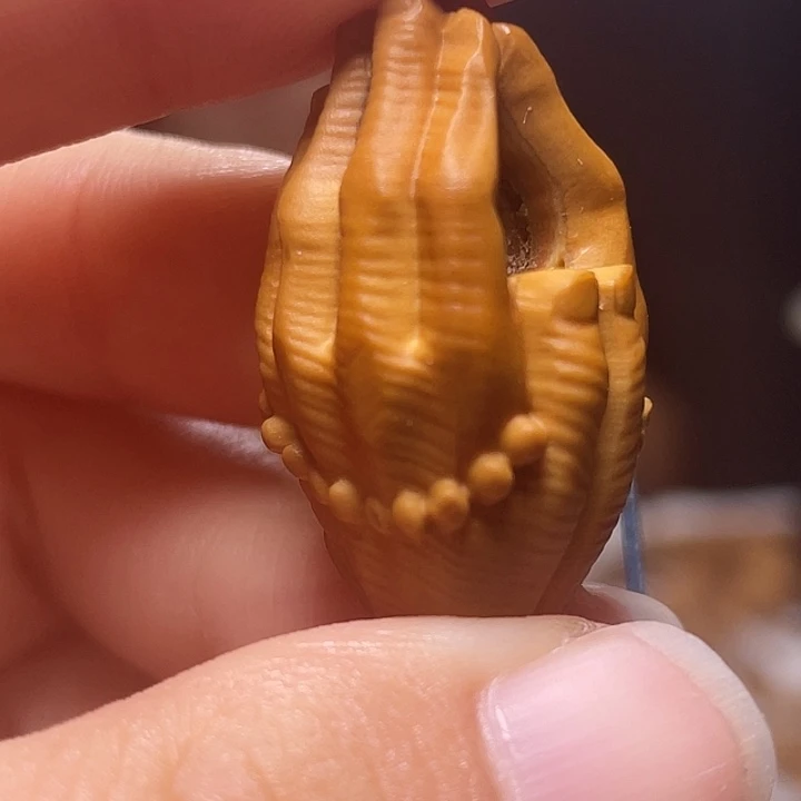 吊坠橄榄核橄榄核
