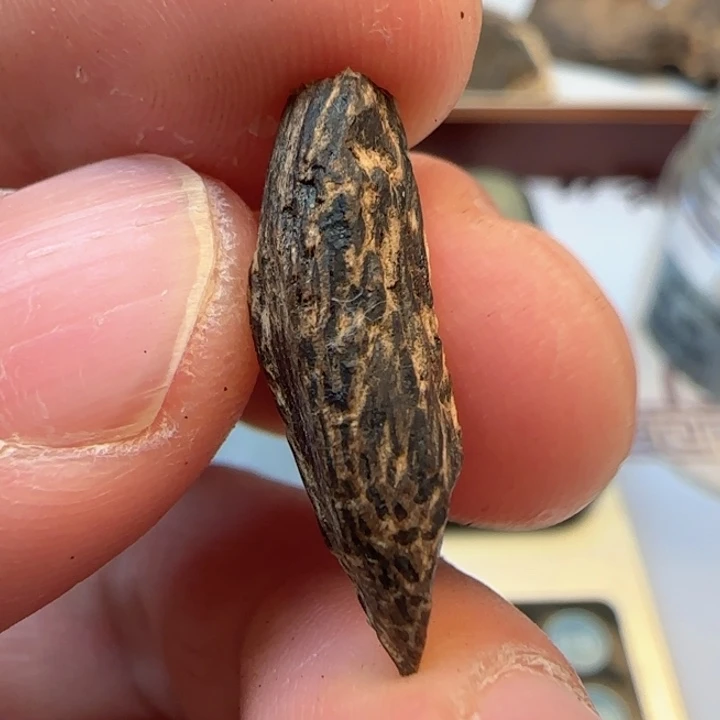 沉香摆件?****夜香港沉水树心0.45克