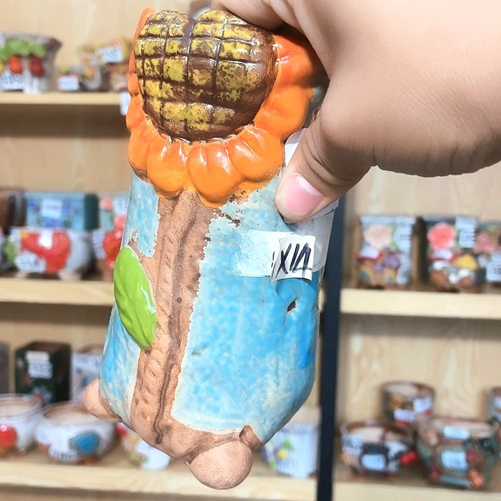 多肉花盆满15包邮