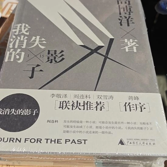 我消失的影子精装库存书